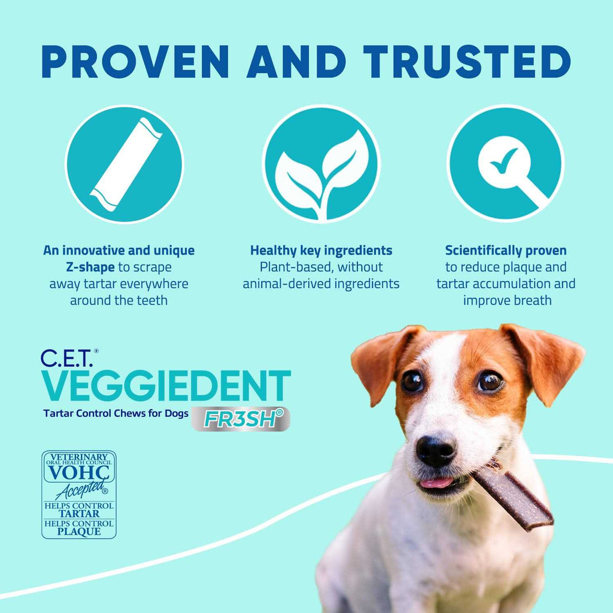 VeggieDent Tartar Control Chews for Dogs M8805
