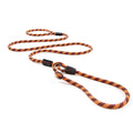 Slip Collar Dog Leash Q694