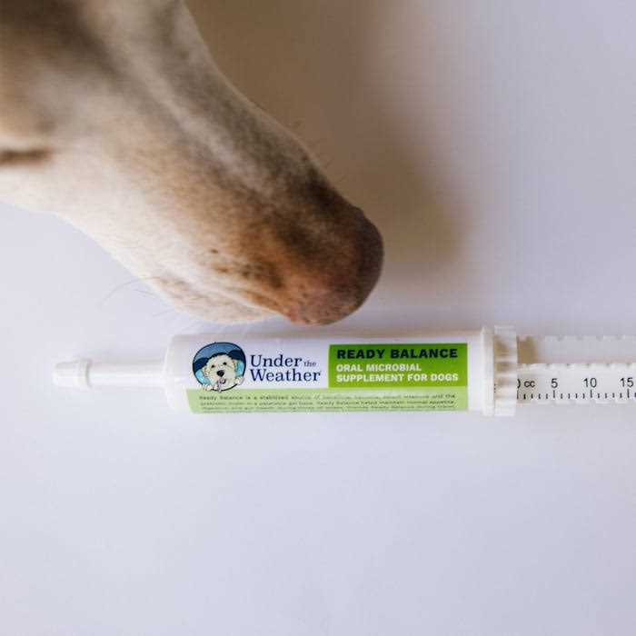 Ready Balance for Dogs X137