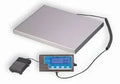 Medical Scale I64391