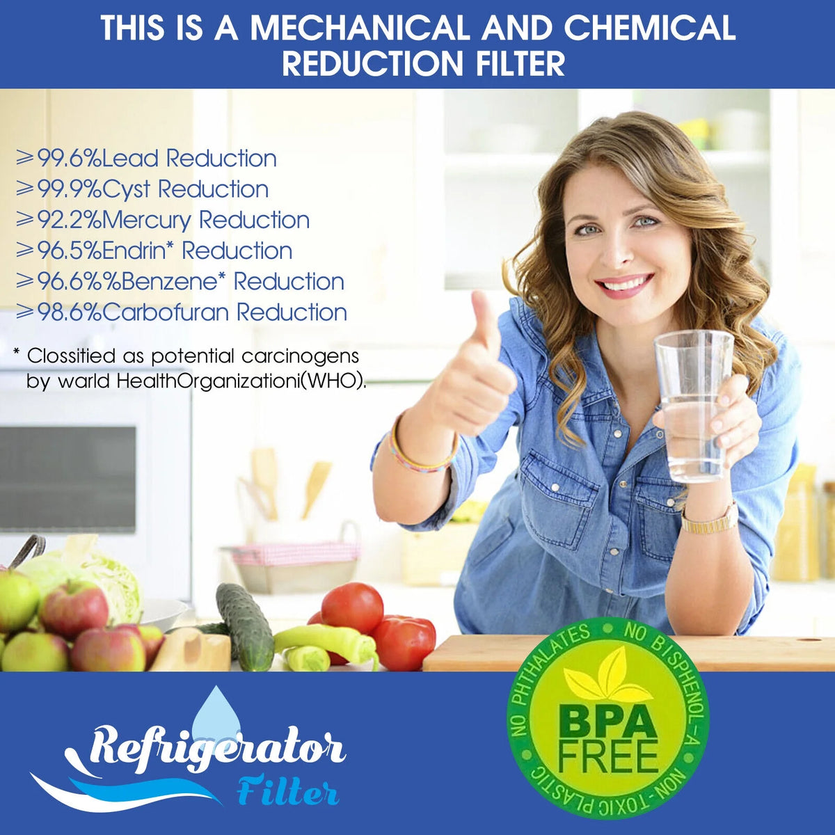 4 Pack Refrigerator Water Filter P239010