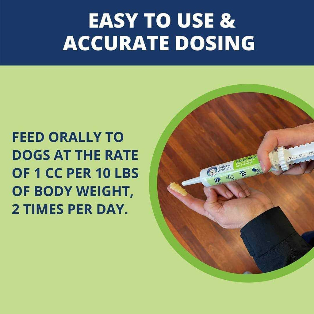 Ready Balance for Dogs X137