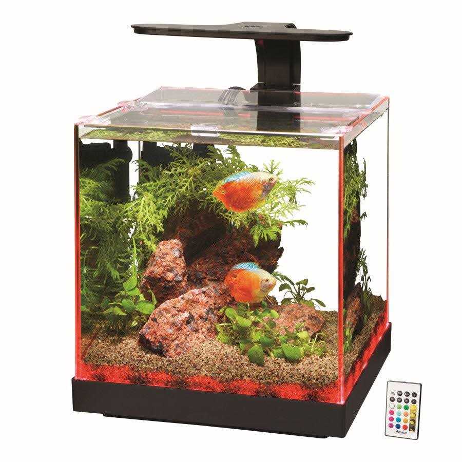 Aquarium A7829