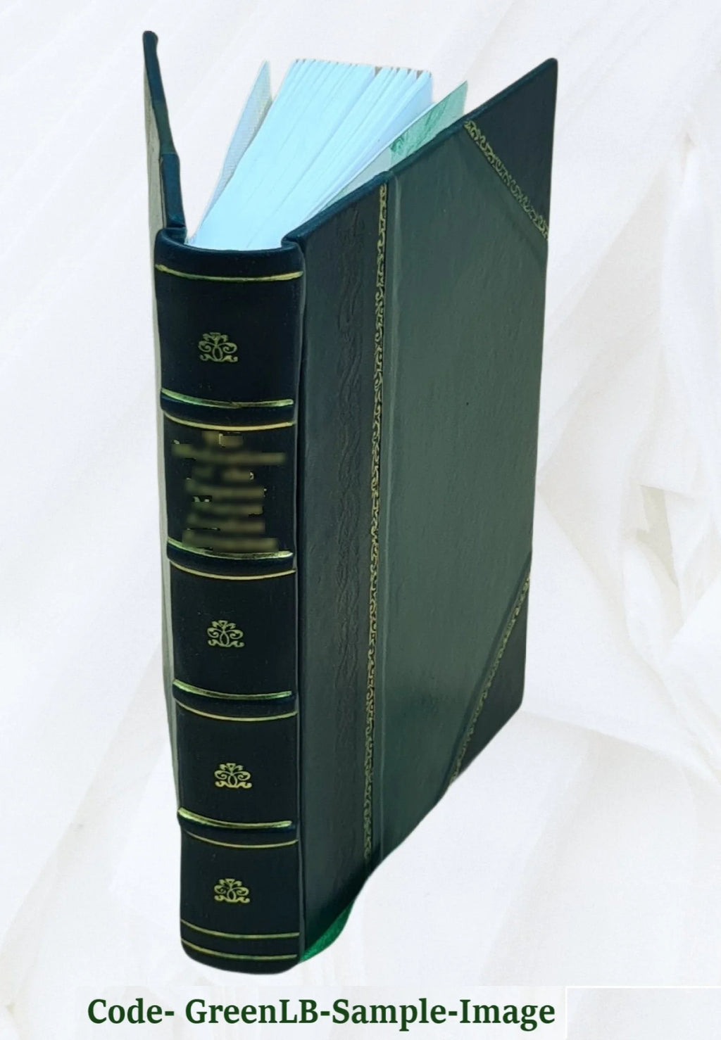 Leather Bound Y178526