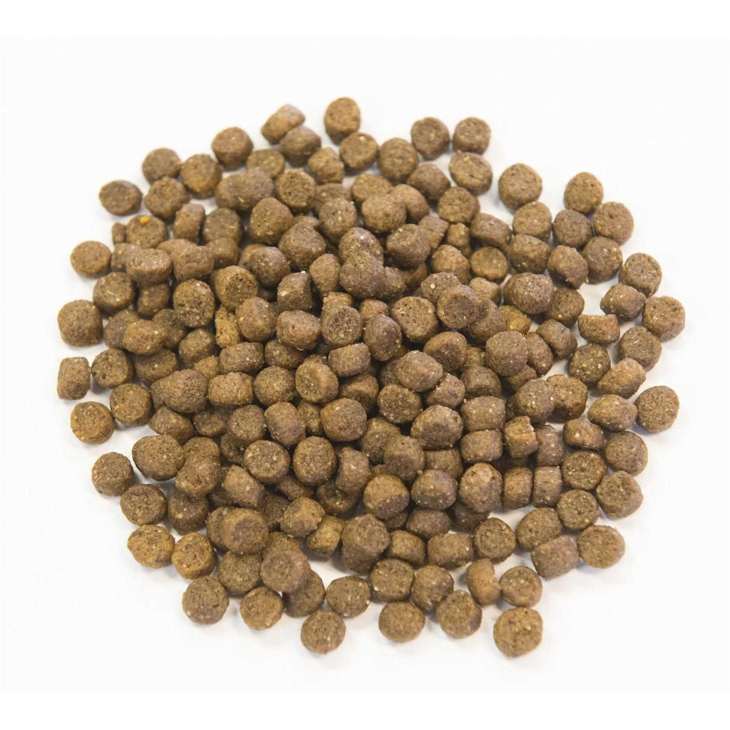 Ancient Grains with Chicken Dog Food Y777