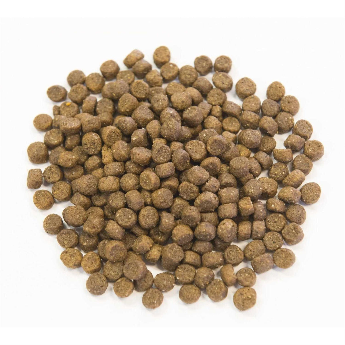 Ancient Grains with Chicken Dog Food Y777
