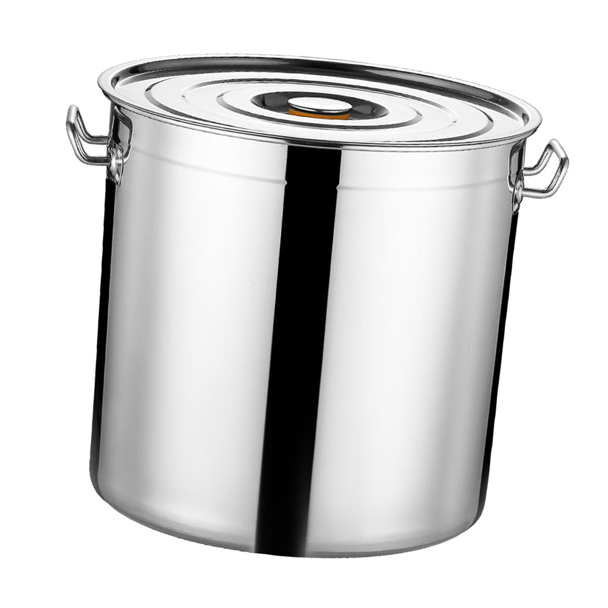 Stainless Steel Stockpot 30cm B64315
