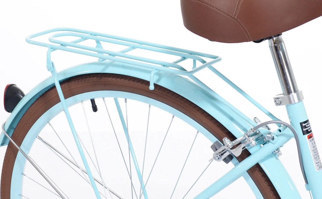 Light Blue and Brown Cruiser Bike S9813