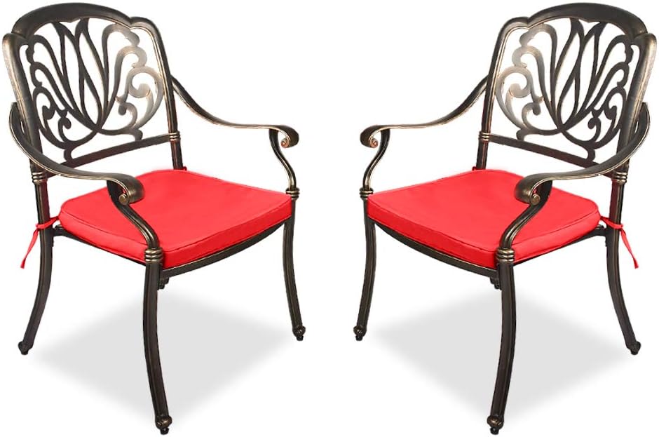 2 Piece Cast Aluminum Bistro Dining Chair Set W4698
