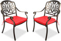 2 Piece Cast Aluminum Bistro Dining Chair Set W4698