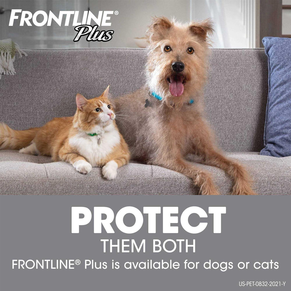 Flea Tick Dogs Z8439