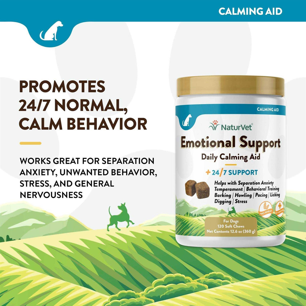 Daily Calming Aid R94871