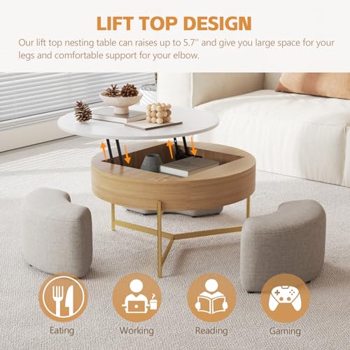 3 in 1 Lift Top Nesting Coffee Table with Storage H76563