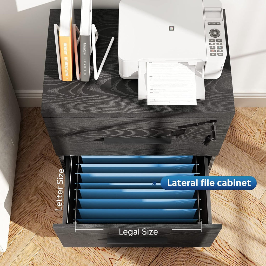 Black 2-Drawer Wood Lateral File Cabinet with Lock Z862