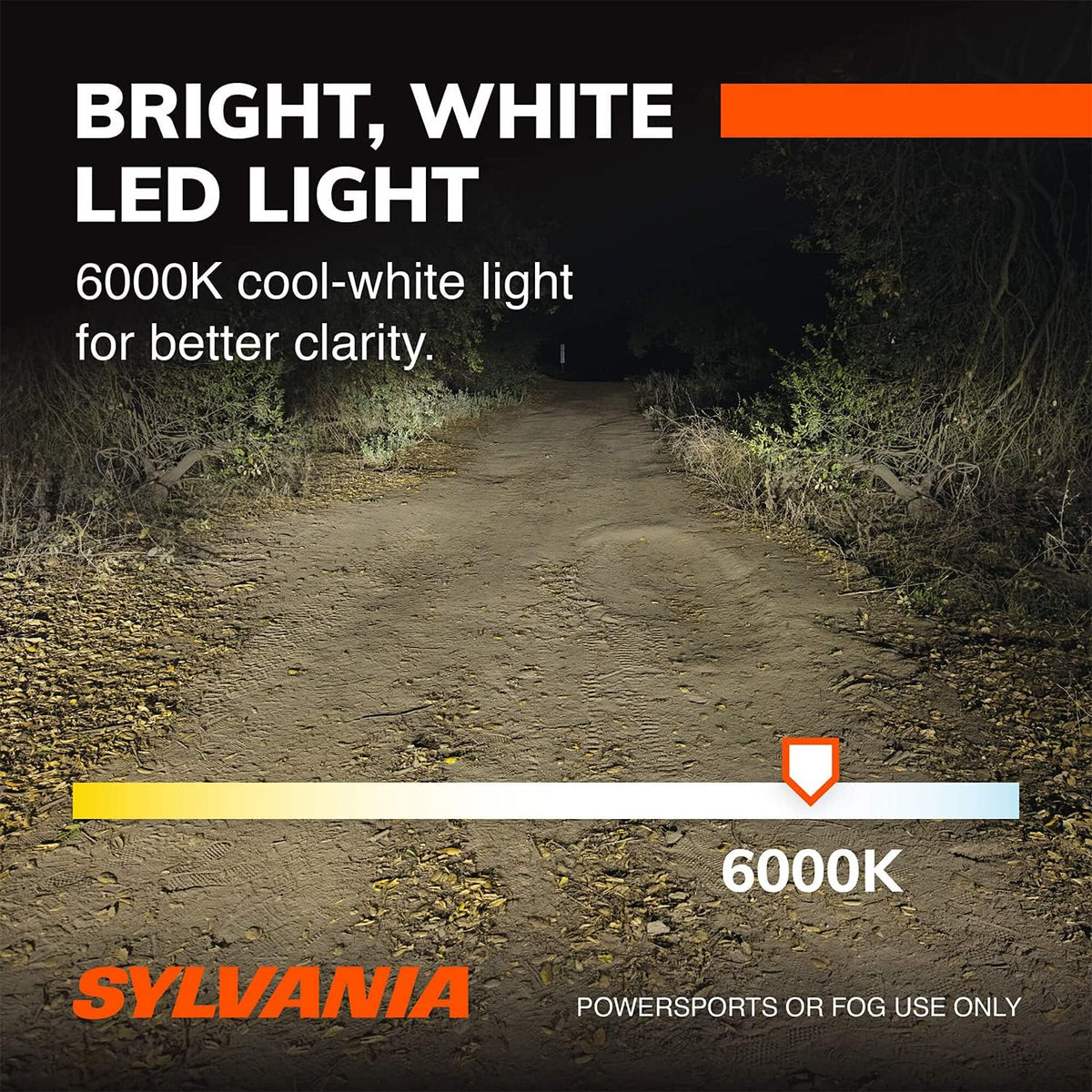 H13 6000K LED Headlight Replacement Bulbs, Cool White (2 Pack) V7541