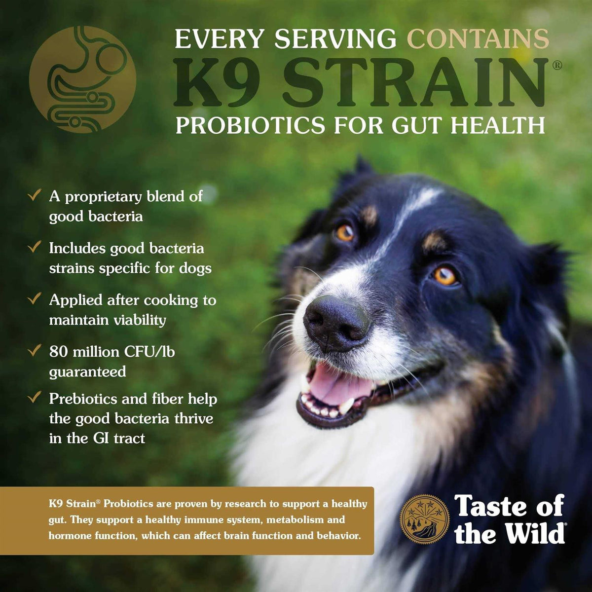 Dog Food R59605