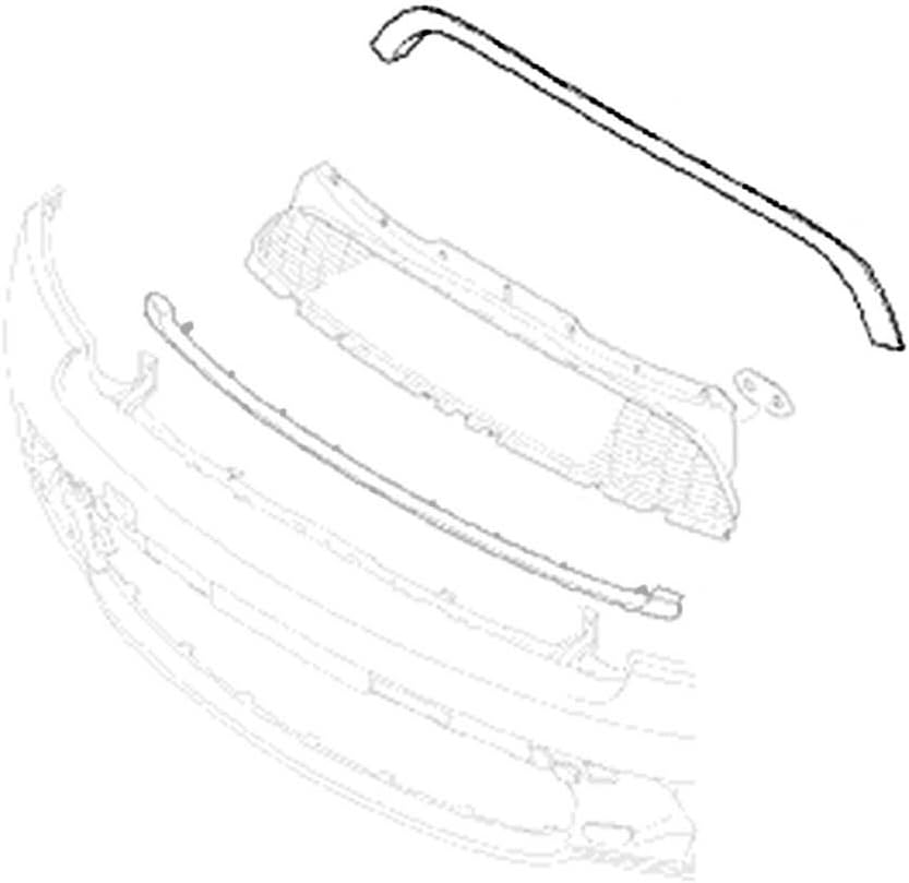 Chrome Upper Grille Trim Z560