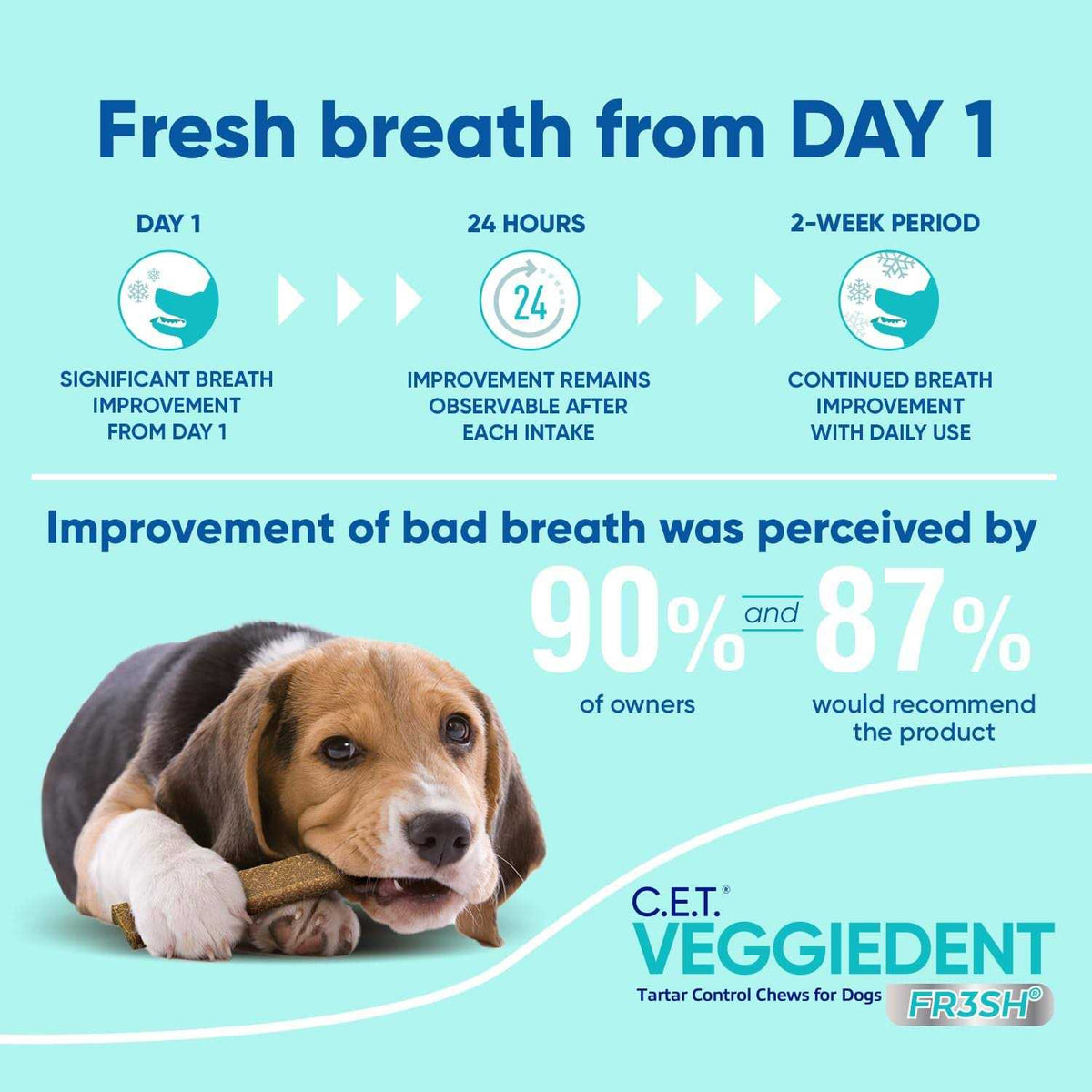 VeggieDent Tartar Control Chews for Dogs M8805