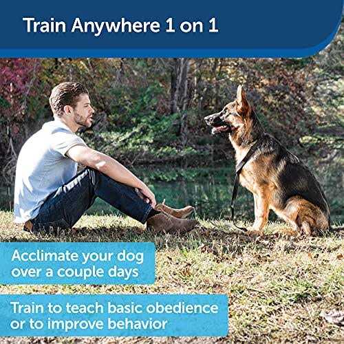 Ultrasonic Remote Dog Trainer U2325