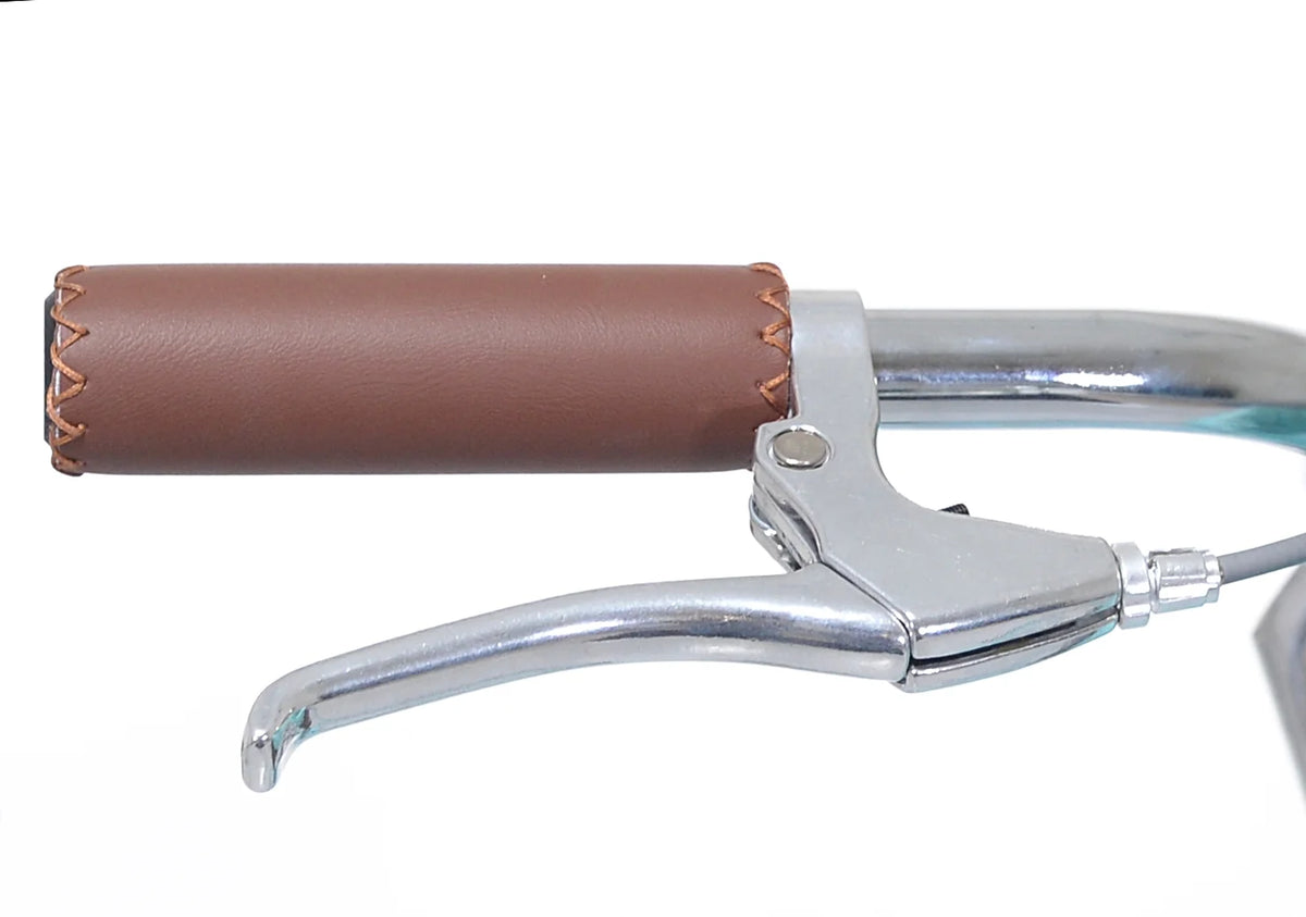 Light Blue and Brown Cruiser Bike S9813