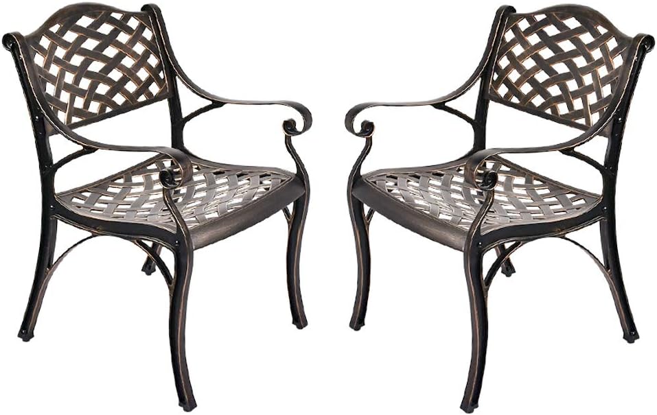 2 Piece Cast Aluminum Bistro Dining Chair Set W4698