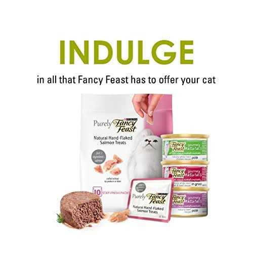 Chicken Flavor Cat Treats 9 oz X978