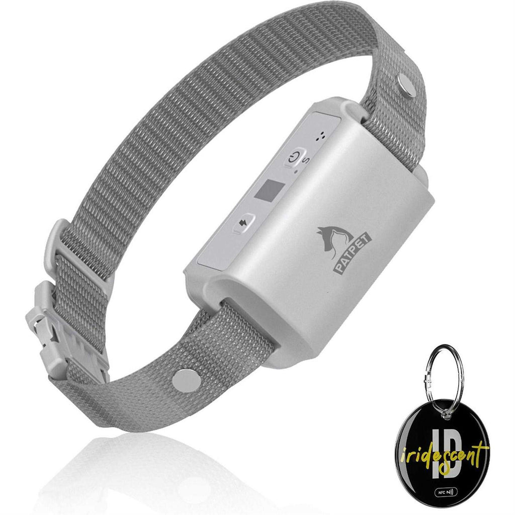 Anti-Bark Training Dog Collar B74902