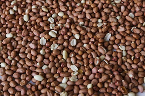 Shelled Peanuts 45LB Bag A8860
