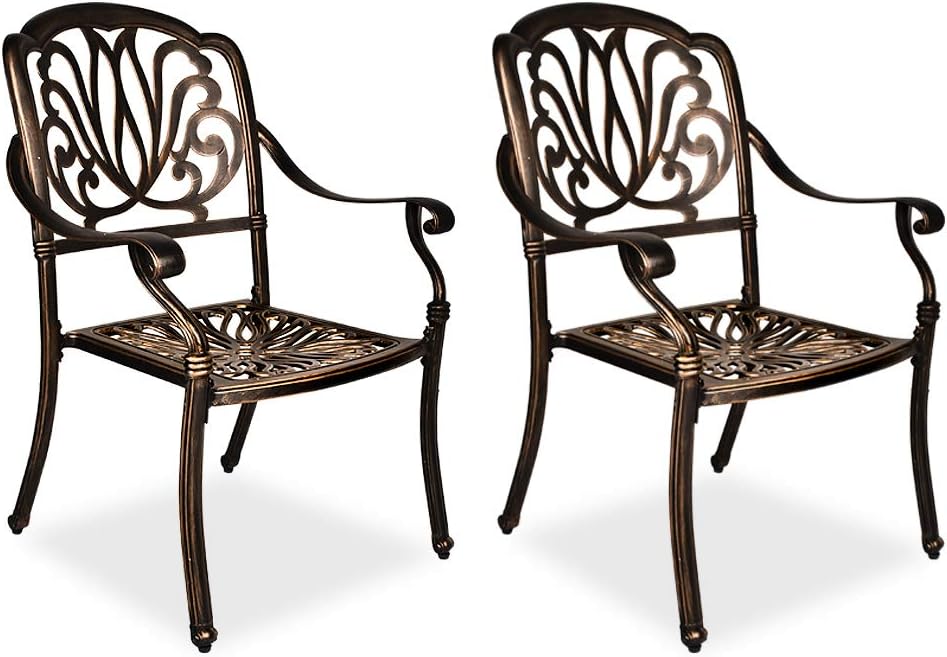 2 Piece Cast Aluminum Bistro Dining Chair Set W4698
