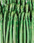 10 root divisions Asparagus Crowns J6748