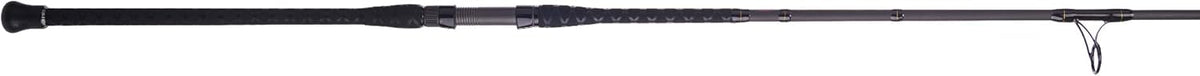 Penn Battalion Surf Spinning Rod - 2 Pieces T242