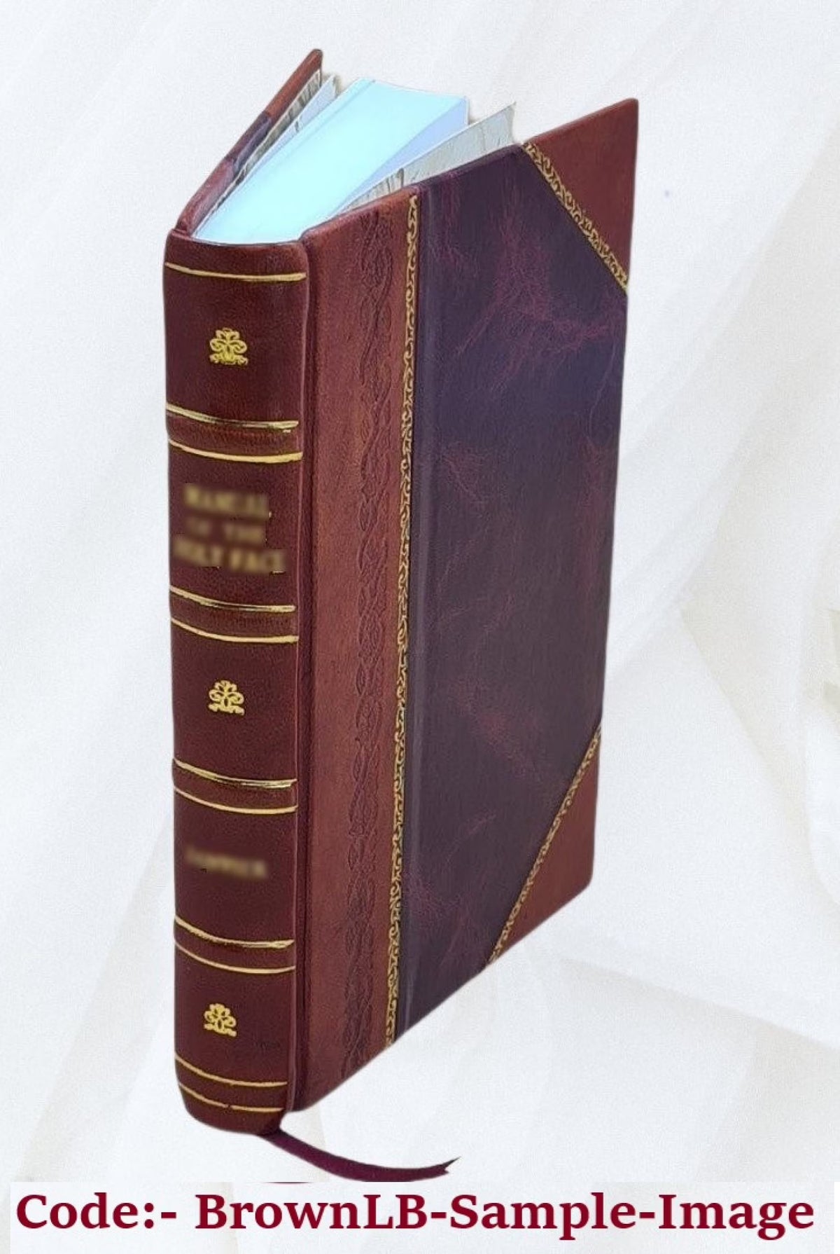 Leather Bound Y178526