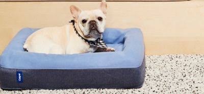 Large Dog Bed in Blue X8166