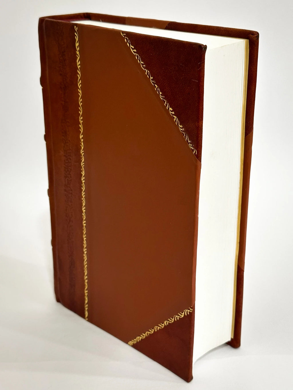 Leather Bound P6182