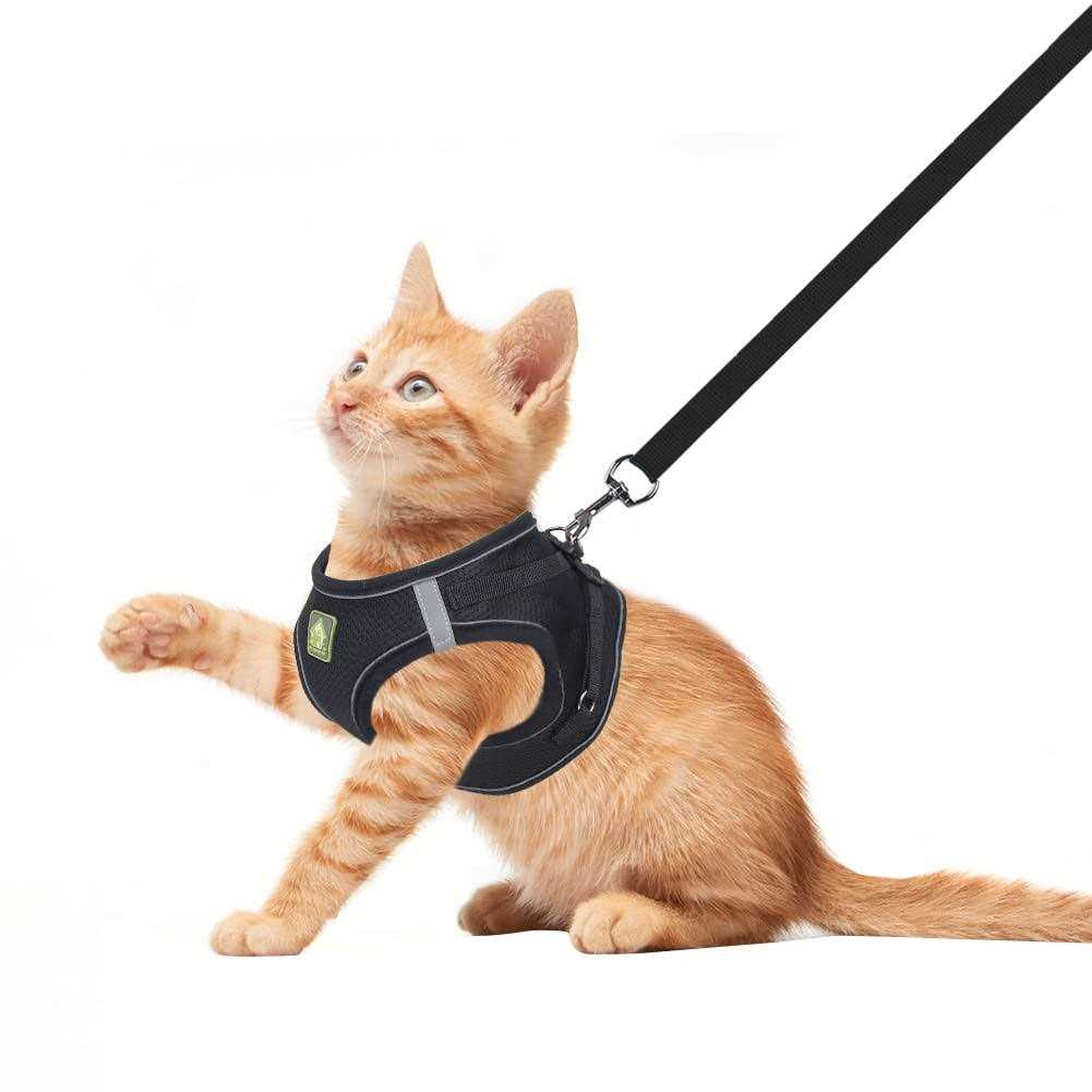 Soft Mesh Reflective Adjustable Dog Harness and Leash Set E16209
