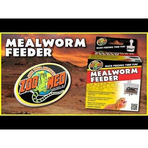 Hanging Mealworm Feeder C60065