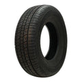 All Season P255/60R19 109H Tire C19389