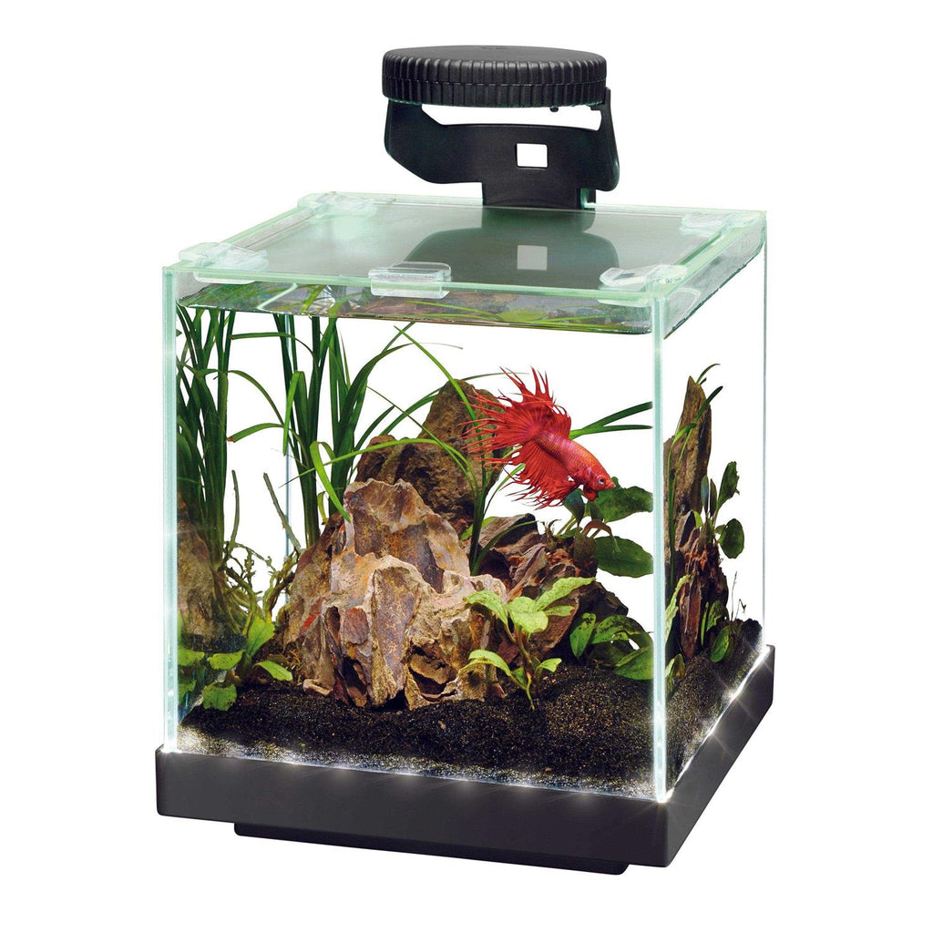 Aquarium A7829