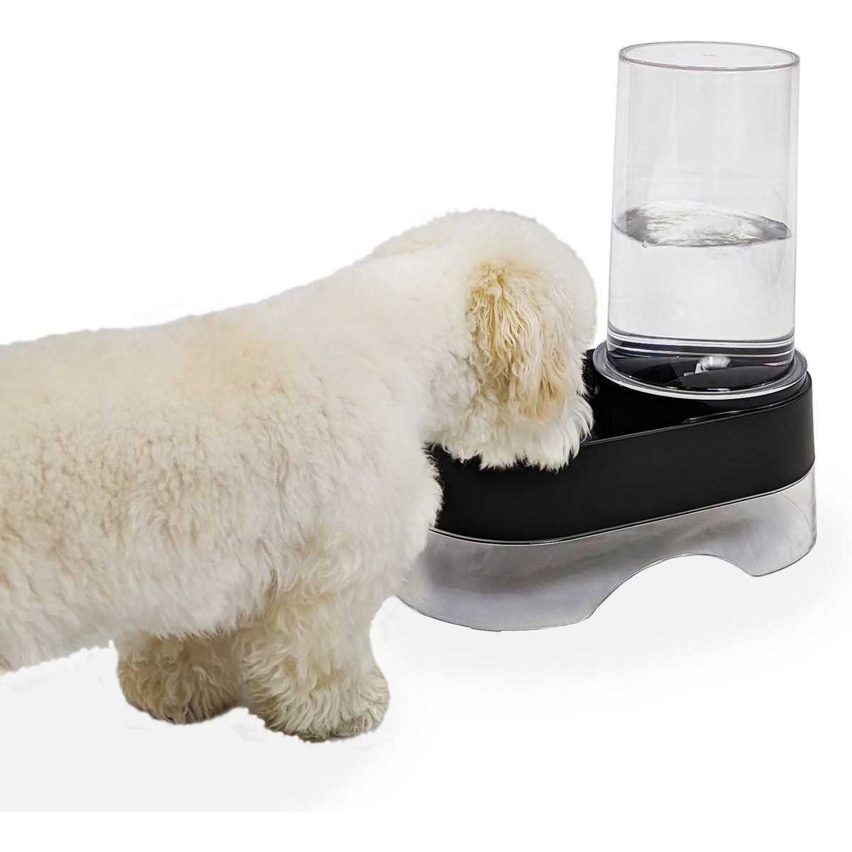 Elevated Gravity Pet Water Dispenser Z813836