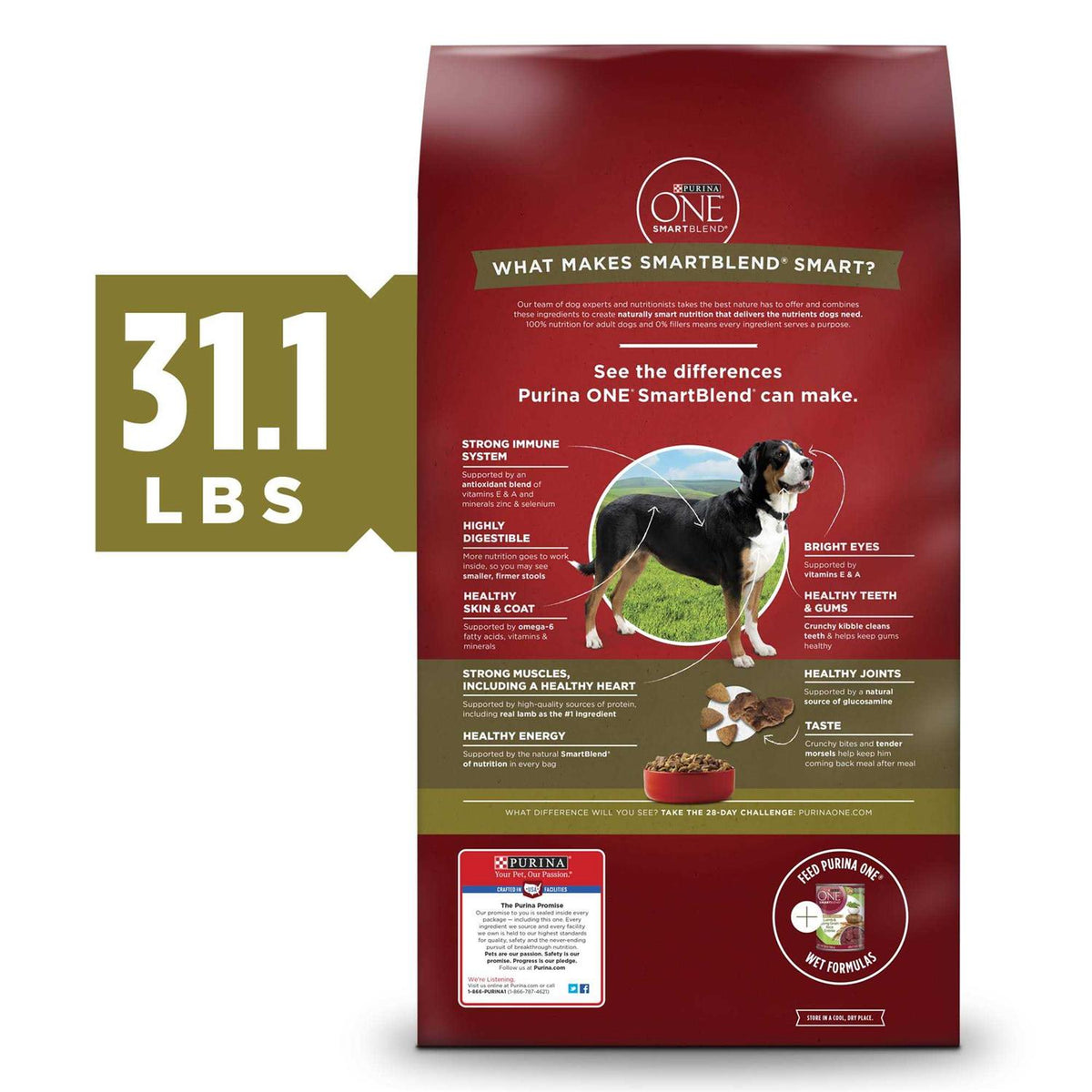 Dry Dog Food Rice Formula A321102