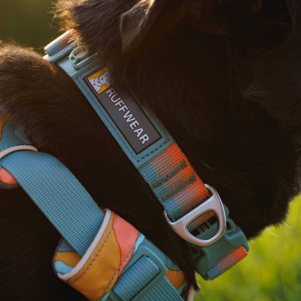 Collar V819126