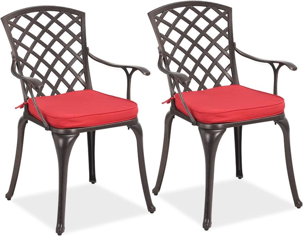 2 Piece Cast Aluminum Bistro Dining Chair Set W4698