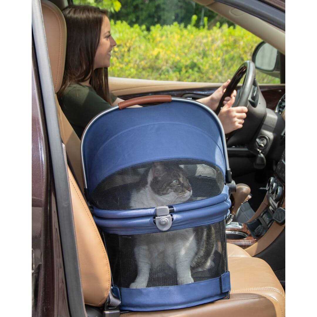 Pet Carrier W615307