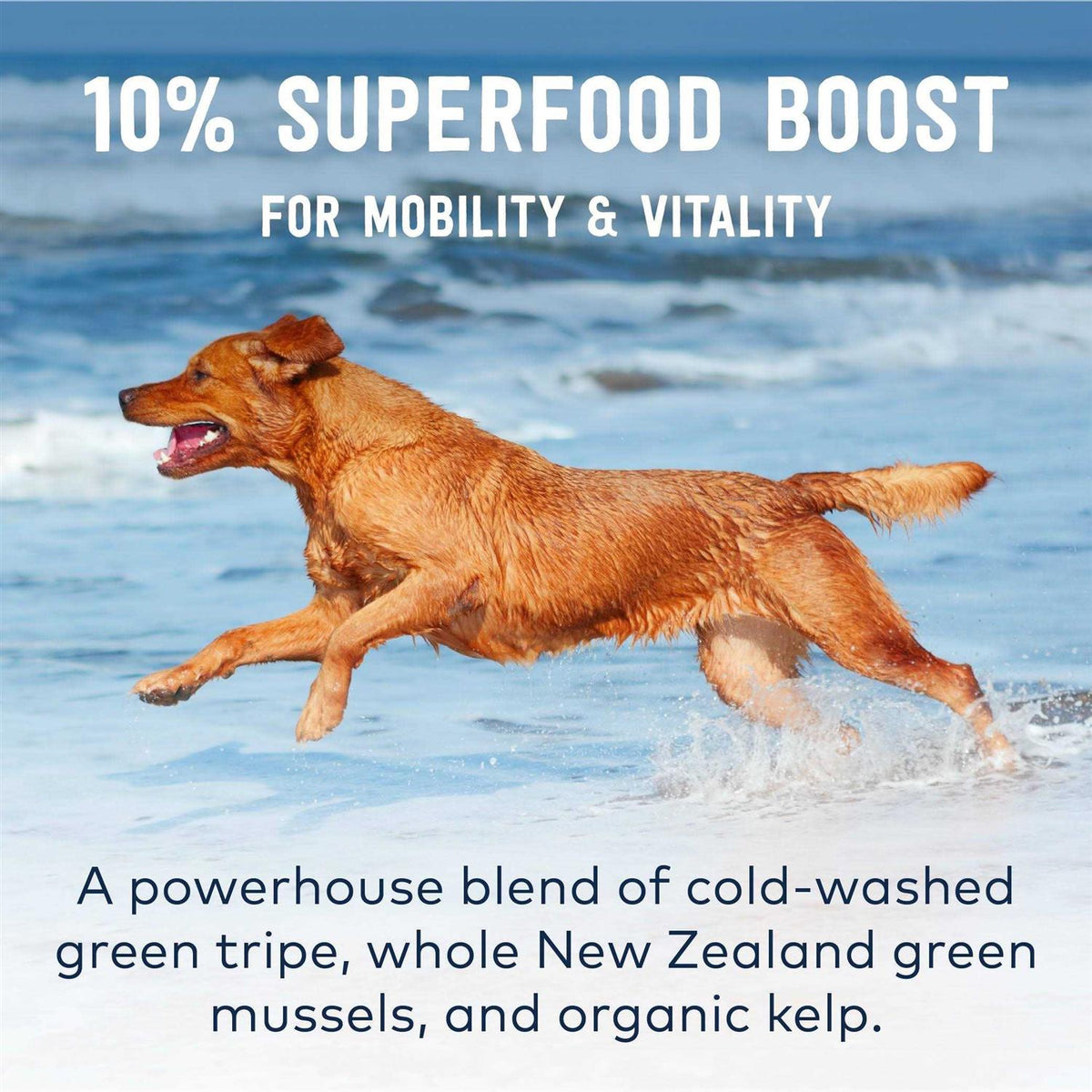 Mackerel Lamb Air-Dried Dog Food C672