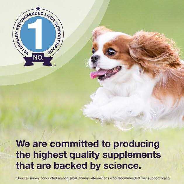 Liver Health Tablets Dogs A2521