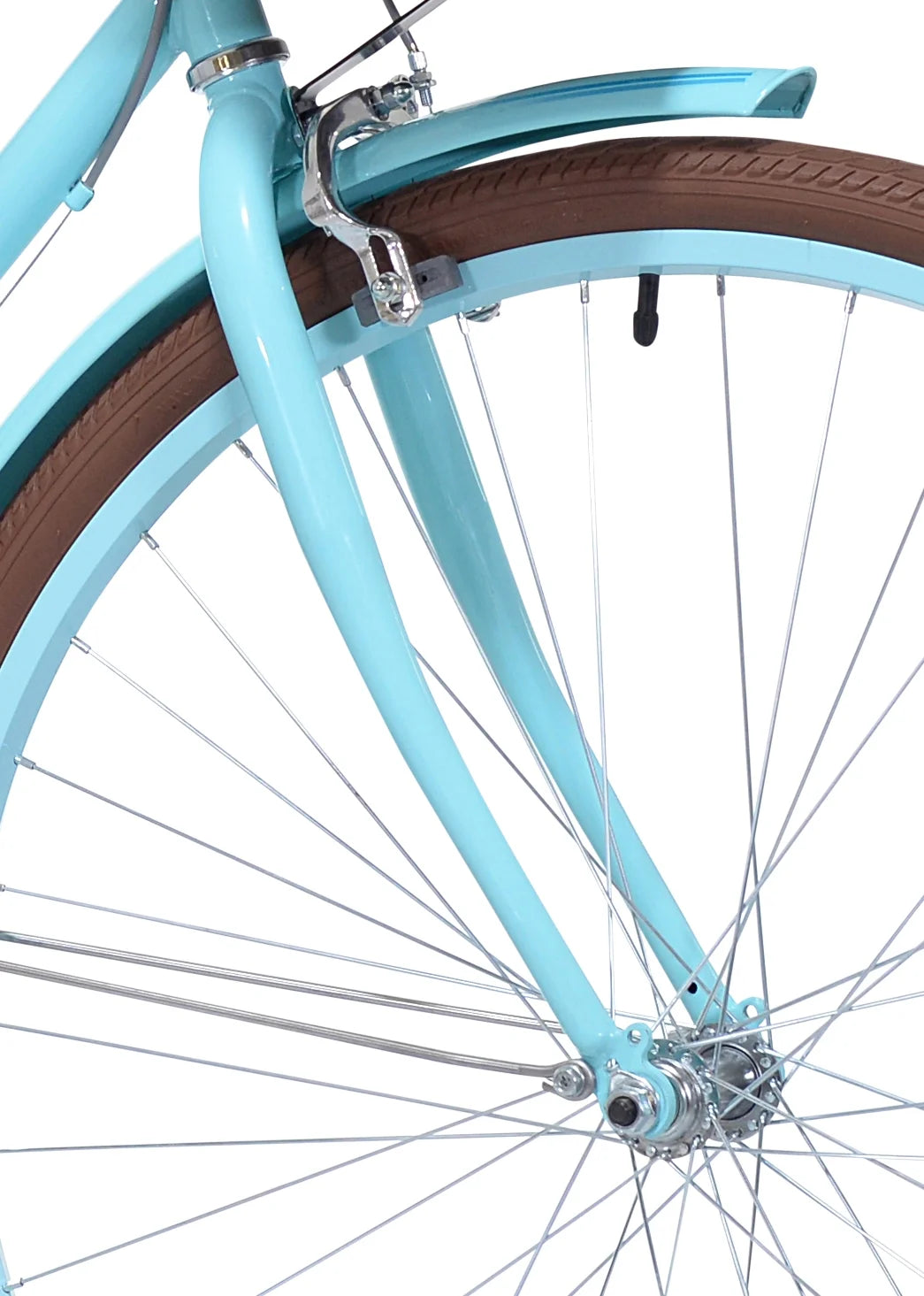 Light Blue and Brown Cruiser Bike S9813