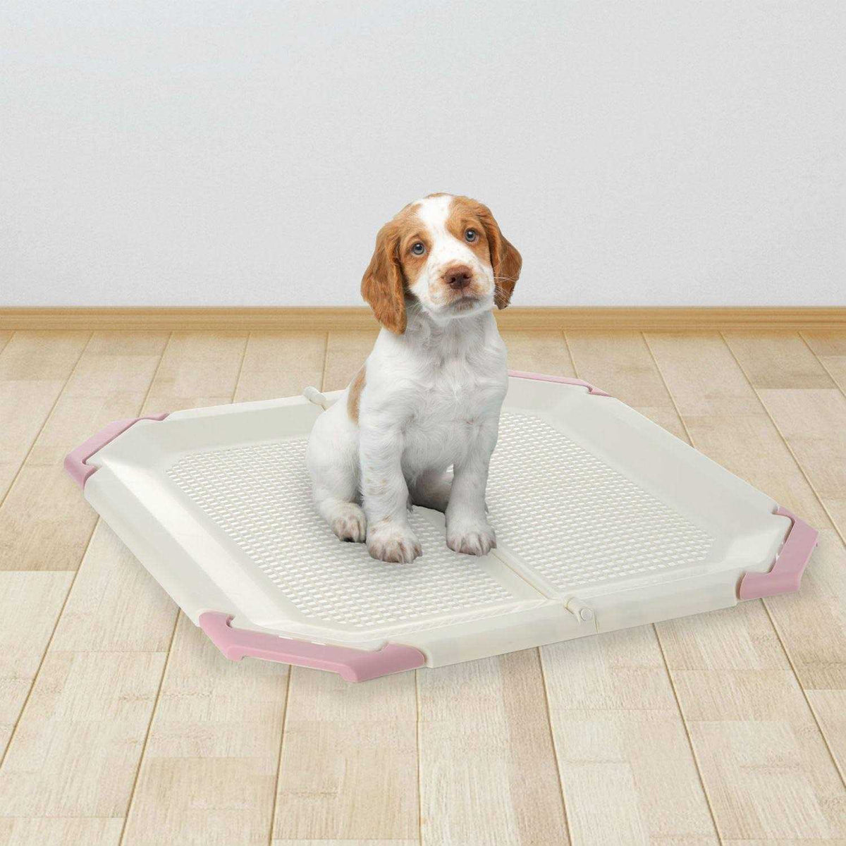 Potty Holder Q2049