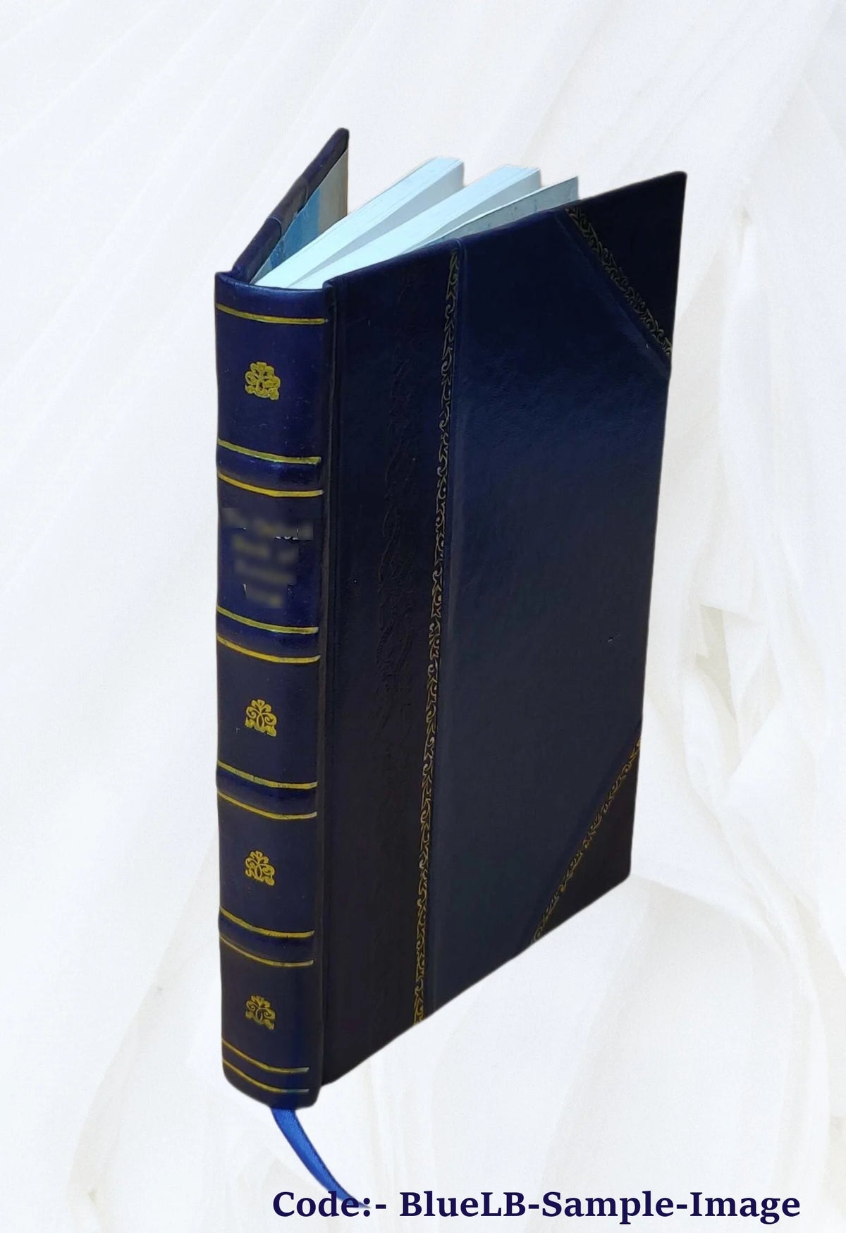 Leather Bound Book P1305