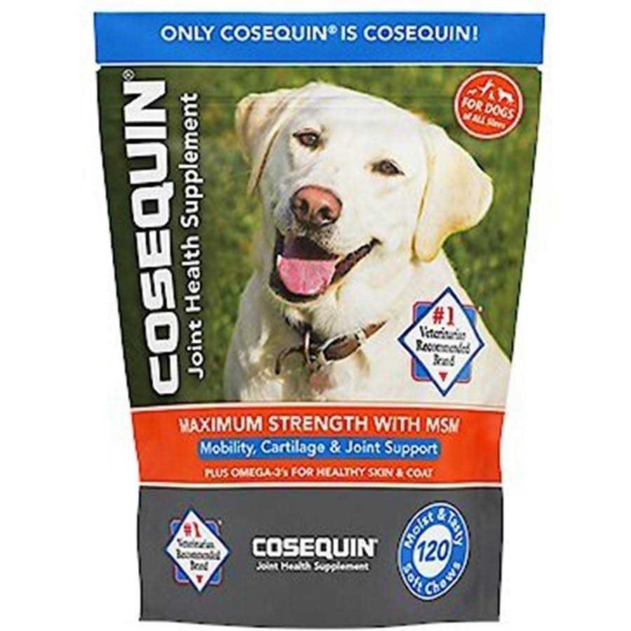 Maximum Strength Soft Chews with MSM Plus Omega-3s for Dogs H788298