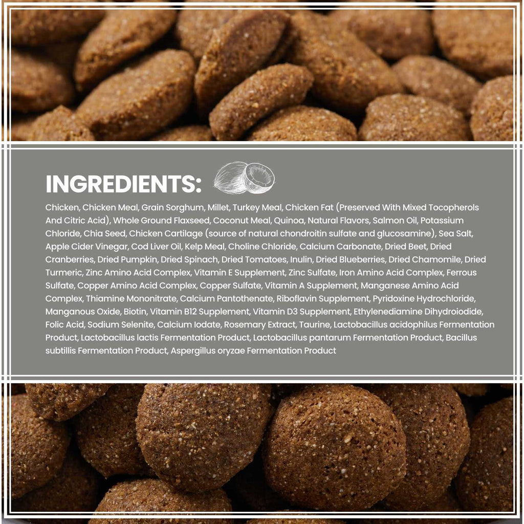 Ancient Grains with Chicken Dog Food Y777